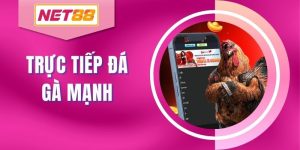 Trực Tiếp Đá Gà Mạnh Net88 -Tổng Quan Và Ưu Nhược Điểm