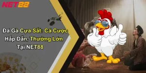Đá Gà Cựa Sắt: Cá Cược Hấp Dẫn, Thưởng Lớn Tại NET88