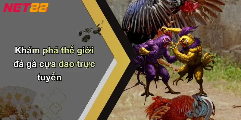 Khám phá thế giới đá gà cựa dao trực tuyến